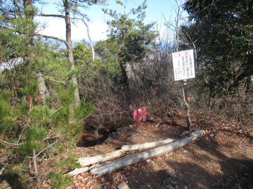 登山道
